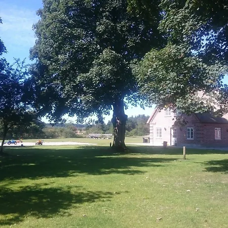 Aagaarden בילונד