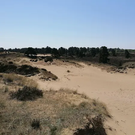 Aagaarden