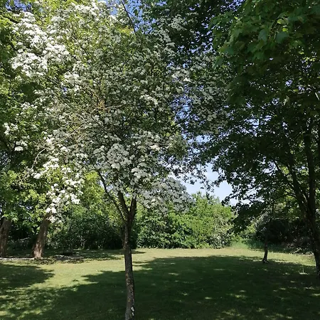 Aagaarden * Billund