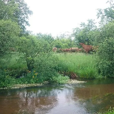 Aagaarden Lägenhet *